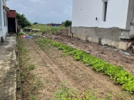 Đất hiếm mặt đường Quyết Tiến – Hợp Đức chỉ hơn 1,7x tỷ  ZALO 0567