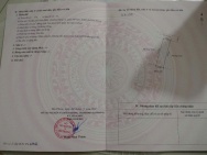 CHÍNH CHỦ BÁN ĐẤT GẦN CHỢ BÀNG LA – 61.2M² – NGÕ 4M Ô TÔ – GIÁ CHỈ