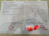 Lô đất 62m² giá chỉ 6xx – tuyến 2 Bình Minh Nam Đồ Sơn, hàng hiếm