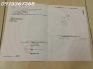 Bán lô đất siêu đẹp tại xã Tam Dương, Phú Thọ, diện tích 105m2,