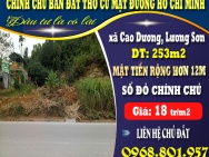 Chính chủ cần bán mảnh đất thổ cư 253m2 mặt đường Hồ Chí Minh