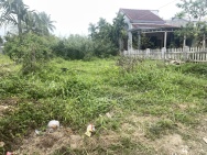 Bán đất kiệt Nguyễn Tri Phương 519,3m2 full thổ cư, cách 10m ra