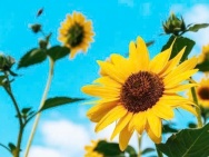 CHÍNH CHỦ CẦN TIỀN BÁN GẤP - CẮT LỖ THỰC TẾ 300 TRIỆU - LÔ ĐẤT VIEW