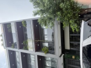 BÁN NHÀ QUẬN 8 - KDC PHÚ LỢI 120M2 (5X24) - MẶT TIỀN 4 TẦNG PHẠM