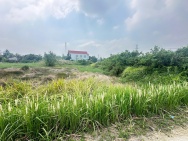 Bán đất mặt tiền đường Rừng Sác , đối diện cây xăng Hiệp Quế , Bình Khánh, Cần Giờ