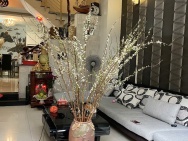 Nhà đẹp 4 tầng HXH Quang Trung P11– Gò Vấp, 67m², cho thuê 144