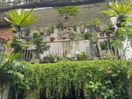 **Bán nhà HXH Trương Công Định** p14 Tân Bình; 4,2*23, 2 tầng