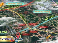 BÁN ĐẤT NGỘP TRỪ VĂN THỐ - TP.HCM