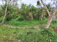 Chính chủ cần bán đất vườn tại xã Long Hưng, Châu Thành, Tiền