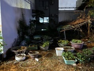 Bán đất Trần Đức Thông 80m² (5x16) giá 11.9 tỷ – cách biển vài bước