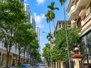 Bán nhà phố Đào Tấn, ô tô tránh, kinh doanh, 130m, chỉ 71 tỷ
