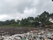 Cực hiếm! 6790m2 Đất No Đường  Đào Trí, Phú Thuận  Q7 HCM, Chỉ 160