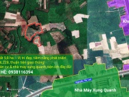 BÁN ĐẤT 9,8HA TÂY NINH – GIÁ CHỈ 31 TỶ, CƠ HỘI ĐẦU TƯ SINH LỜI!