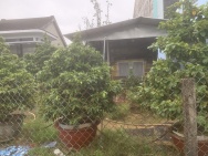 Lô đất mặt tiền Nguyễn Tất Thành Hội An 100m² đẹp, gần Phố Cổ, chỉ