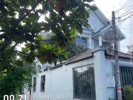 Chính chủ cần bán đất trông cây lâu năm Bình Chánh, Hồ Chí Minh, DT