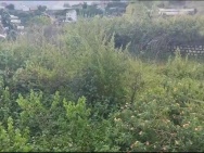 BÁN ĐẤT VIEW RỪNG THÔNG – MĂNG LIN, P. CAM LY, ĐÀ LẠT