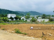 Cực hiếm siêu phẩm 155m2 mặt tiền 15,5m sát ga Metro & đl Thăng