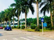 Liền kề Diamond Long Biên, 105m x 7 tầng, MT 6.5m, vị trí đắc địa,