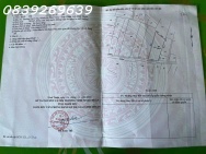 Bán đất NN Đạo Long, gần ngã 3 An Long, cách đường Thống Nhất 300m
