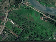 Bán đất giá tốt – Diện tích lớn, phù hợp đầu tư và làm vườn tại Bến