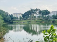 Mảnh đất view hồ siêu Vip vị trí trung tâm Hòa Lạc gần các trường