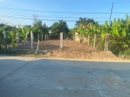 Diên An Ngang 9m Gần Như Full Thổ Cư Mặt Tiền Đường Bà Đội đường