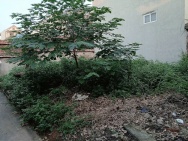 CC EM CẦN TIỀN MUỐN LÔ ĐẤT Ở HIỆP THẬN PHÚC THỌ.
DIỆN TÍCH 42M -