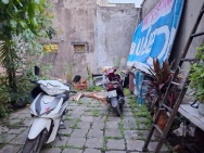 Bán đất ngõ 254 vĩnh hưng 77M VF3 đỗ cửa 2 thoáng hoàng mai