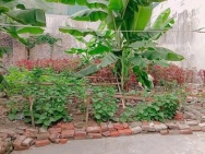 Bán đất trương định 109M tặng gpxd 7 tầng ngõ thông kinh doanh hai bà trưng