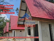 Cách Phòng Chống Nấm Mốc Trên Mái Ngói Nhựa
