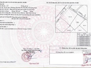 Phát mại 284m2 đất phường Cẩm Phú, TP Cẩm Phả, Quảng Ninh. Miễn TG