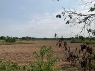 Đất Mặt Tiền - Hưng Long, Đa Phước, Bình Chánh 15000m² Chỉ  70 Tỷ,