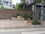 Bán đất đấu giá xã Thuận An, Hà Nội. Lô góc 115m2 đường 12m vỉa hè.