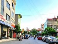 Bán đất mặt phố kinh doanh 10m tại Trâu Quỳ, Gia Lâm. 88m2. Lh