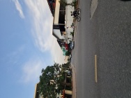 Tái định cư Trâu Quỳ, Gia Lâm, Hà Nội. 60m2, 4m x 15m, đường 12m