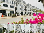 Bán biệt thự Dương Nội Hà Đông mặt đường lớn 21,5m 23,5m, giá từ 23