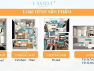 Căn hộ Lavida Plus Q7 1Pn 55m2  giá 3 tỷ có vat, Ck 5%. CĐT