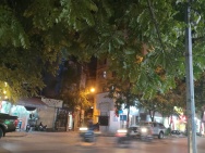 Bán gấp giá rẻ mặt phố Hai Bà Trưng 22m/33mT2, 5 tầng, mặt tiền