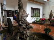 Bán nhà riêng tại đại la thanh lương hai bà trưng hà nội 124 triệu