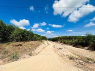 Bán 1.9 ha đất Đường đất 10m - Tân Xuân - Hàm Tân giá ngộp 3 tỷ sổ