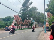 BÁN ĐẤT MẶT TIỀN HỒ VĂN CỐNG SỔ HỒNG RIÊNG XÂY DỰNG TỰ DO