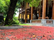 Bán nhanh 227m2 sát MT Nguyễn văn Tạo , hẻm xe tải cách MT 20m .