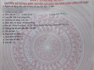 80m² SƠN ĐOÀI – SÓC SƠN  Ô TÔ ĐỖ CỬA – GIÁ RẺ GIẬT MÌNH