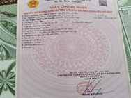 CHÍNH CHỦ CẦN BÁN LÔ ĐẤT ĐẸP – XÃ SÓC SƠN