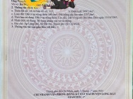 Chủ bán 3000mv300 thổ cư mt nhựa láng dài