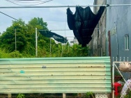 CHỈ 24 TRIỆU/M² - HẺM NHỰA XE TẢI - ĐẤT FULL THỔ CƯ 332m2 