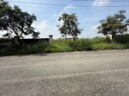 BÁN LÔ ĐẤT CÔNG NGHIỆP NHỊ XUÂN – HÓC MÔN – DT KHỦNG 7.700m²