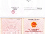 CHÍNH CHỦ Cần Bán 5600M2 Đất Lúa - MẶT TIỀN Châu Thị Kim, An Vĩnh