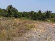 ĐẤT CHÍNH CHỦ - Bán 12.000M2 Đất Lúa - 2 Mặt Tiền Châu Thị Kim, An