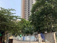 BÁN LÔ ĐẤT MT SỐ 70 Quốc Hương, Phường Thảo Điền, Quận 2